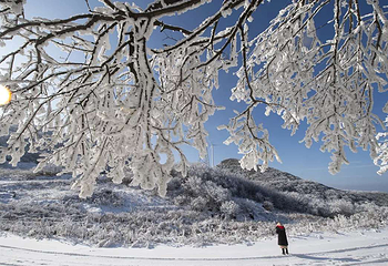襄阳横冲国际滑雪场第 13 张图片
