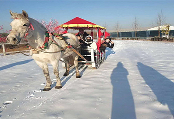 汣龙冰雪世界第 1 张图片