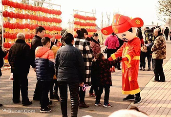 豪泽国际郁金香花海欢乐城第 10 张图片