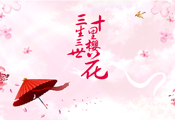 望城大观园新春樱花节第 15 张图片