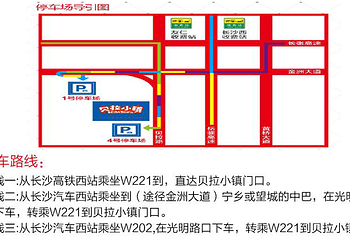 望城大观园新春樱花节第 2 张图片