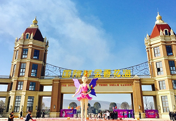 豪泽国际郁金香花海欢乐城第 16 张图片