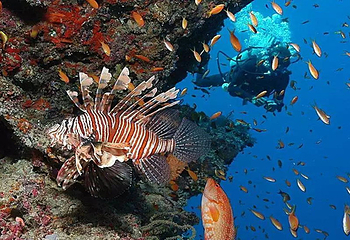 镜湖湿地海洋世界第 4 张图片