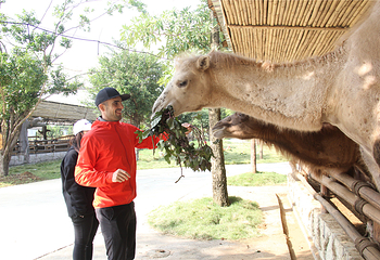 雄森旅游度假区第 33 张图片