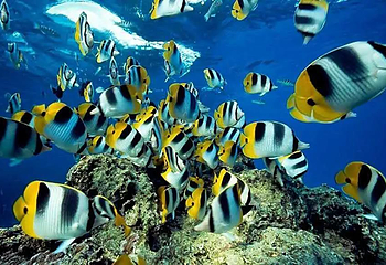 镜湖湿地海洋世界第 3 张图片