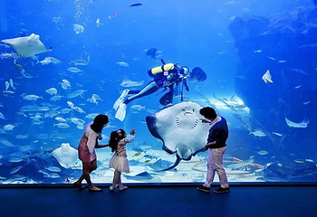 镜湖湿地海洋世界第 5 张图片
