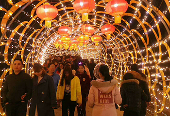 涿州三城灯会第 9 张图片