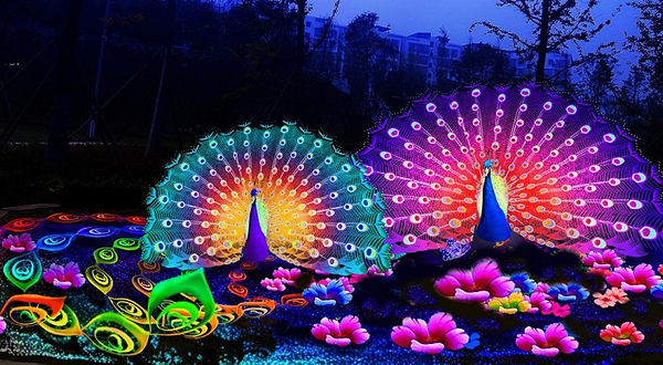 2019中国射洪首届新春民俗文化节灯展