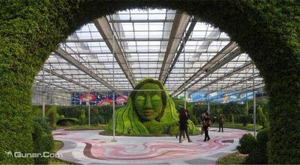 龙达幻城植物王国