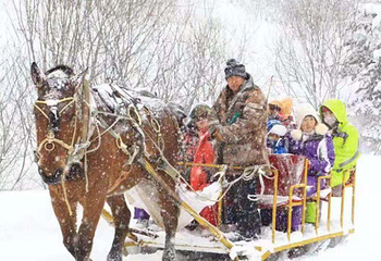 铁岭如意湖冰雪大世界第 2 张图片