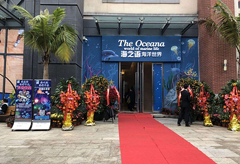 海之语海洋世界第 11 张图片