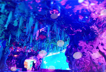 宁夏幻太奇海洋公园第 2 张图片