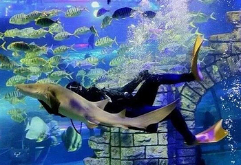 镜湖湿地海洋世界第 6 张图片
