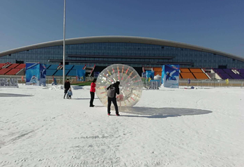呼和塔拉冰雪旅游文化节第 7 张图片