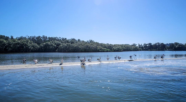 黄金海岸翠儿河