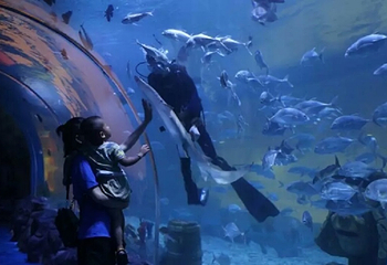 海之语海洋世界第 9 张图片