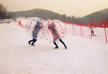 柳青庄园冰雪乐园第 7 张图片