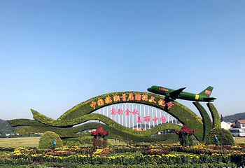 临湘市菊花博览园第 22 张图片