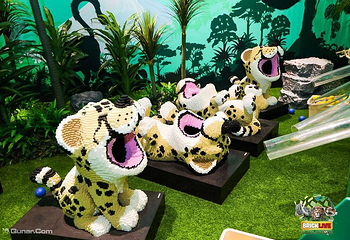 濒危动物环保展-海口站第 6 张图片