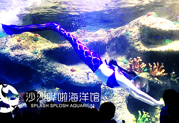 沙沙哗啦海洋馆第 2 张图片