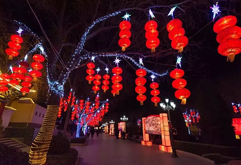 茂丰迎春贺岁灯会第 3 张图片