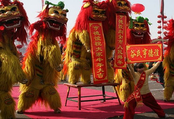 豪泽国际郁金香花海欢乐城第 22 张图片