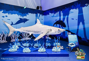 濒危动物环保展-海口站第 3 张图片