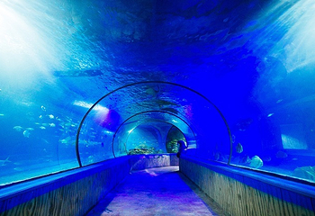 云门山旅游度假区第 15 张图片