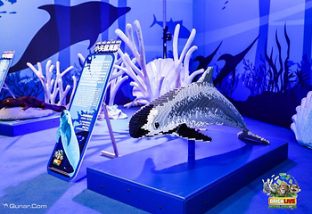 濒危动物环保展-海口站第 5 张图片