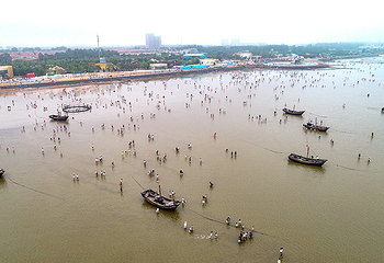 刘家湾赶海园第 4 张图片