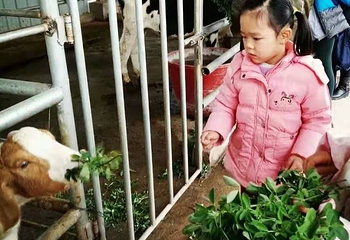 西湖区德人牧场第 1 张图片
