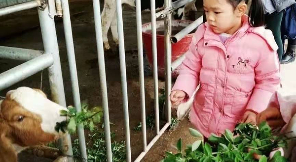 西湖区德人牧场