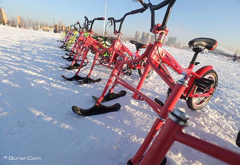 沈阳沈北冰雪世纪第 8 张图片
