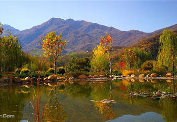 黄金寨原生态旅游区第 41 张图片