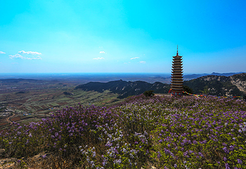 双峰山第 17 张图片