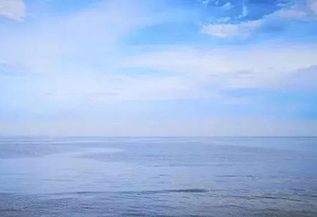 刘家湾赶海园第 7 张图片