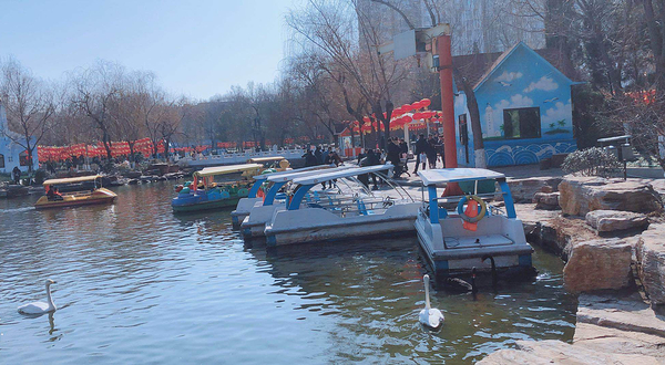 郑州动物园内卡通游船