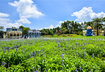 龙凤山庄影视度假村第 150 张图片