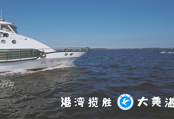 湛江红嘴鸥游船第 19 张图片