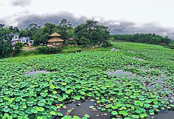 汀江国家湿地公园第 7 张图片