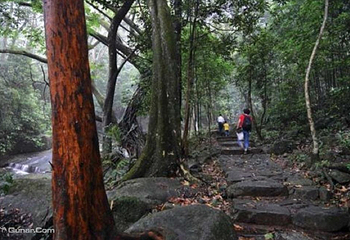 灵石山国家森林公园第 6 张图片
