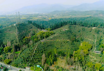 茶溪谷第 6 张图片
