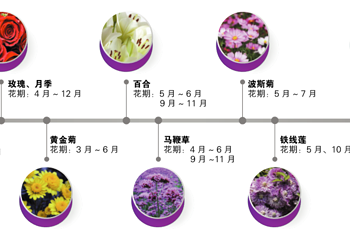 花博汇(知音花月夜)第 4 张图片