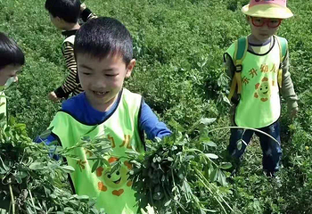 西湖区德人牧场第 3 张图片