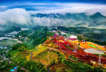 南湖多彩植物园第 11 张图片