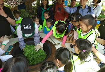 茶溪谷第 4 张图片