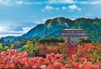 大别山映山红生态文化大观园第 1 张图片