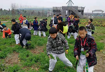 西湖区德人牧场第 2 张图片