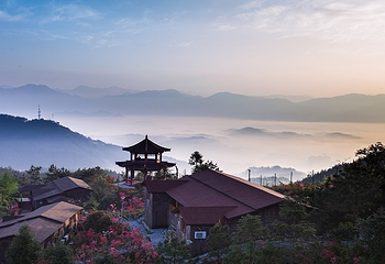 大别山映山红生态文化大观园第 10 张图片