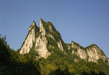 鹿院坪第 11 张图片